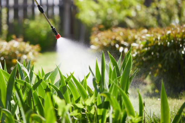 Tamper-Resistant Bait Stations for Rodents in Agency Village