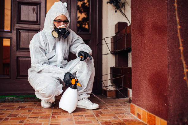Attic and Crawl Space Rodent Treatment in Agency Village