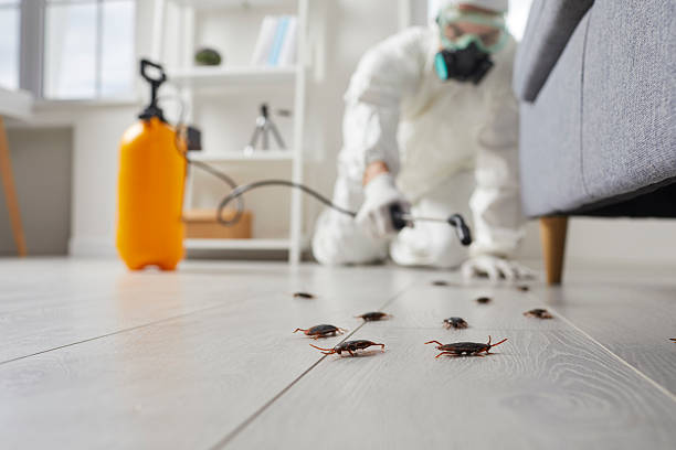 Commercial Rodent Management in Agency Village